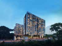 Project View